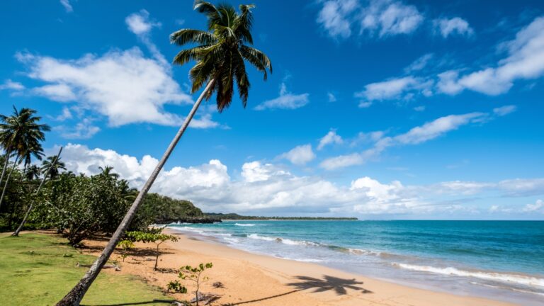 Playa de Samaná