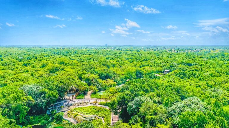 Vista aérea del parque Scape Park en Punta Cana