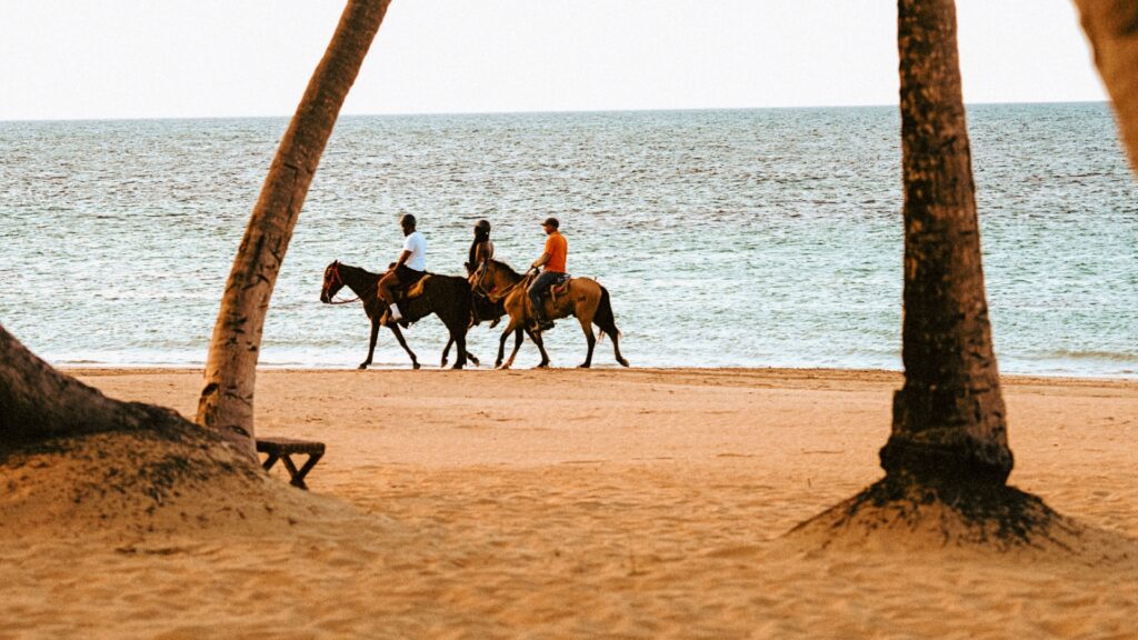 Grupo de turistas pasea por una playa con palmeras