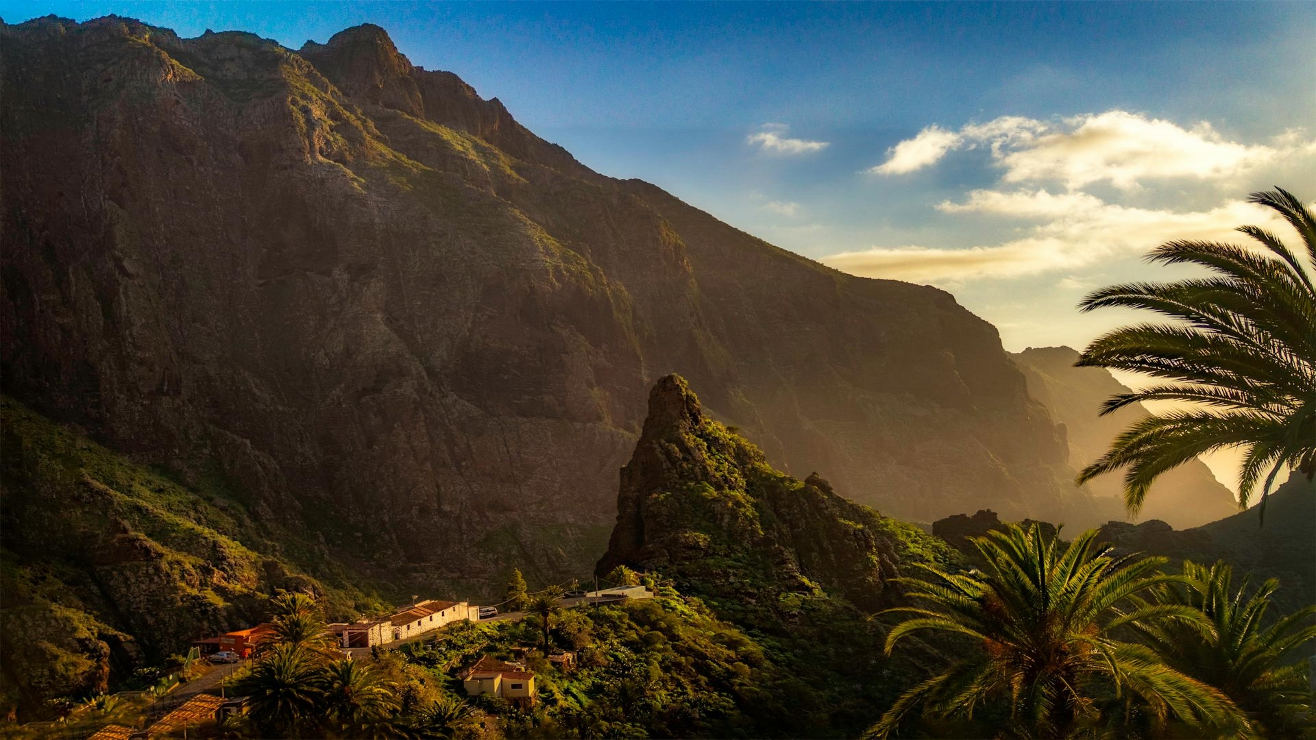 Naturaleza en estado puro en Tenerife