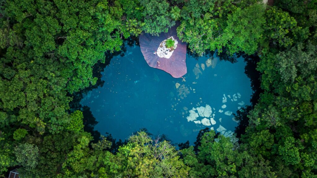 Vista aérea de un cenote en medio de la selva