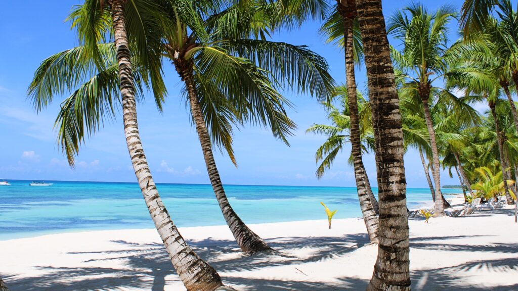 Playa de arena blanca con cocoteros en Punta Cana, República Dominicana.
