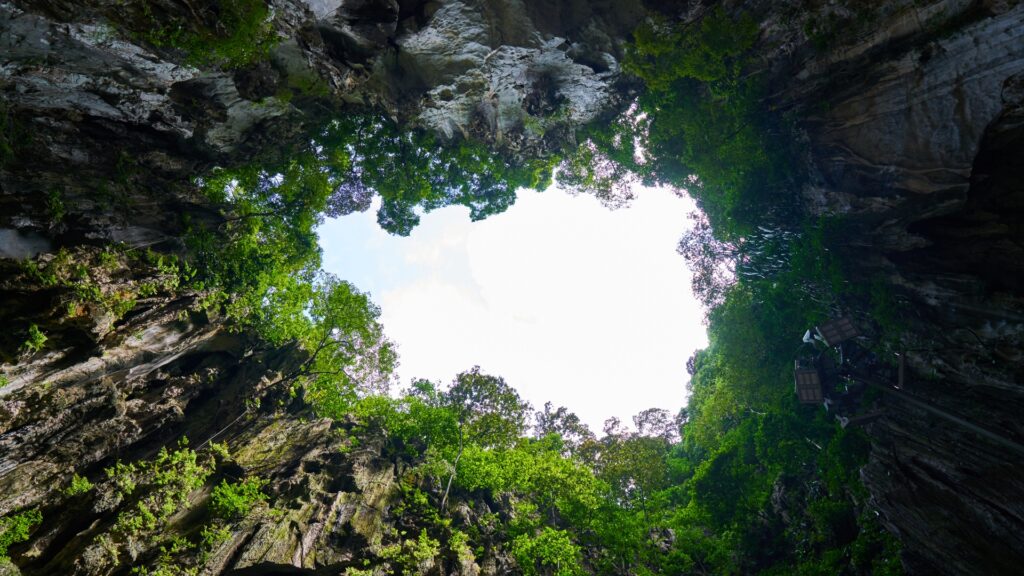 Vista del cielo desde el interior de un cenote