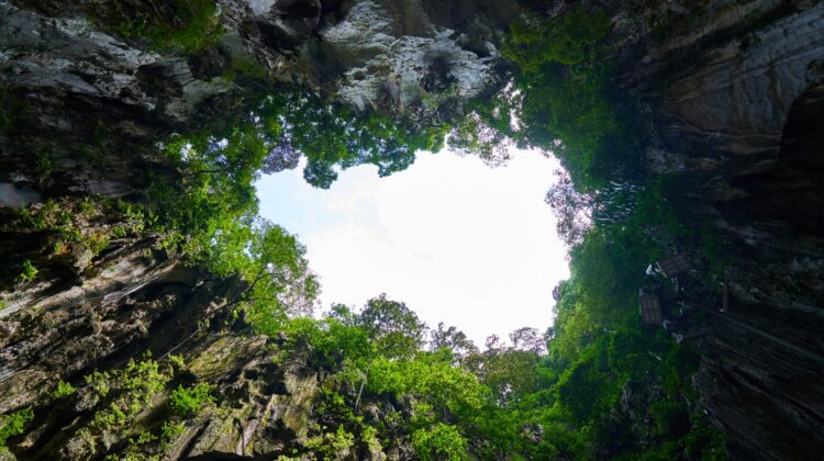 Vista del cielo desde el interior de un cenote