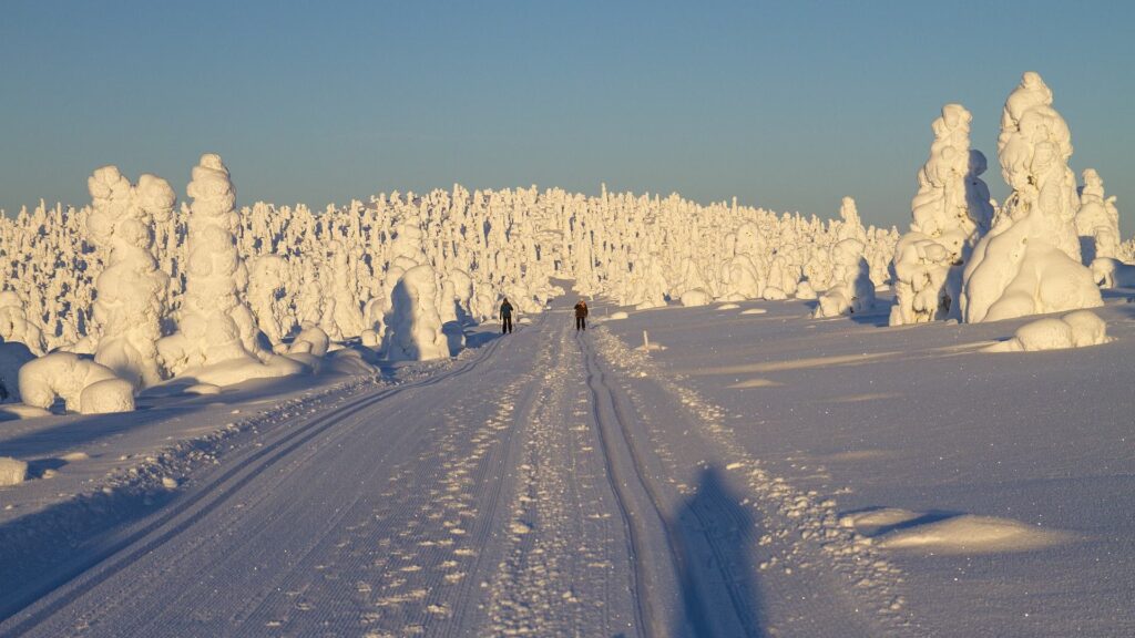 Caminos nevados en el Parque Nacional de Pyha Luosto