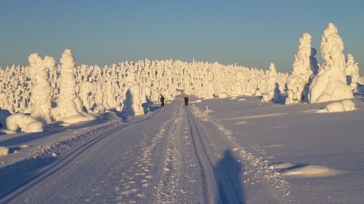 Caminos nevados en el Parque Nacional de Pyha Luosto