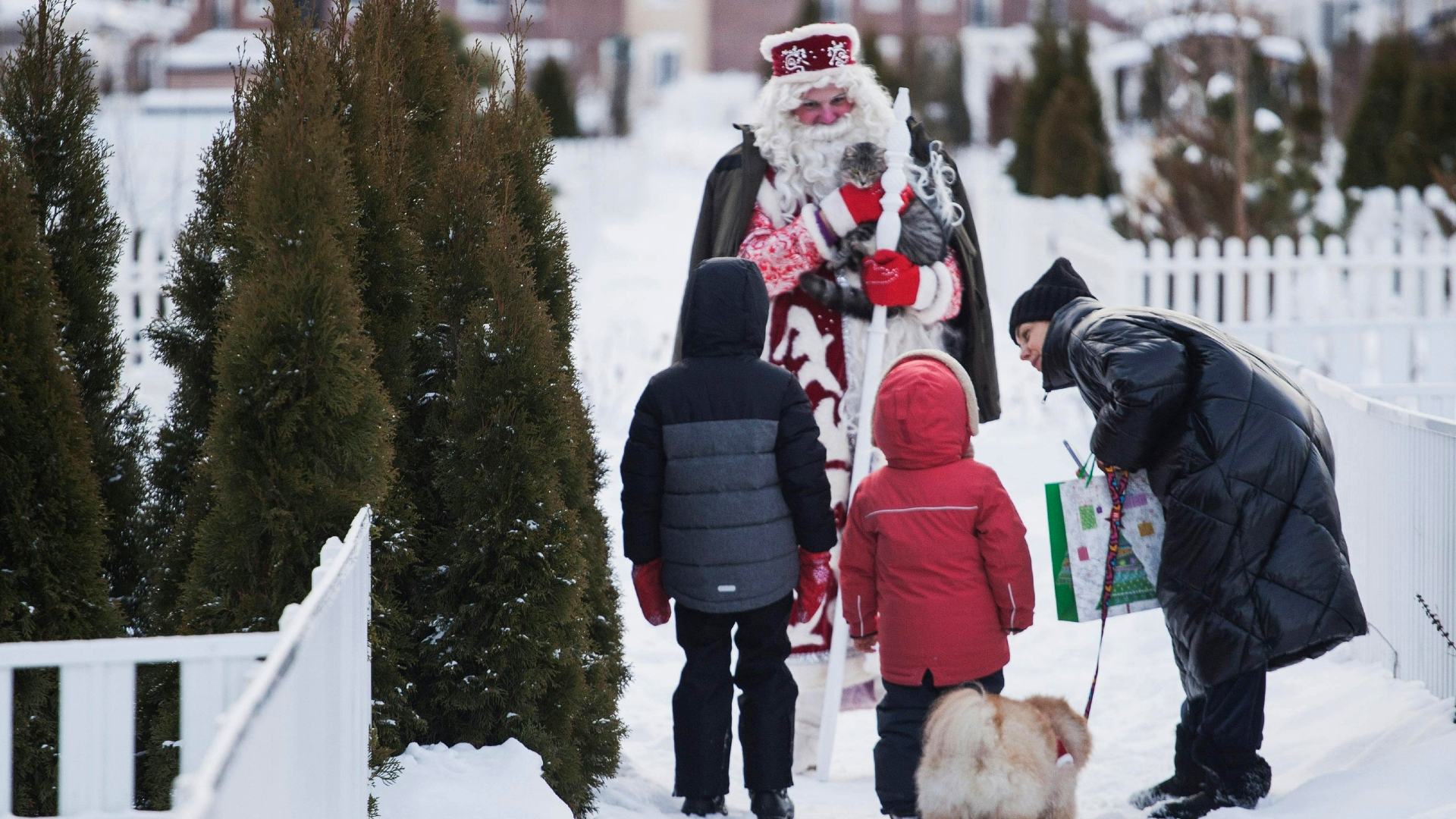 Visitantes de la Casa de Papá Noel