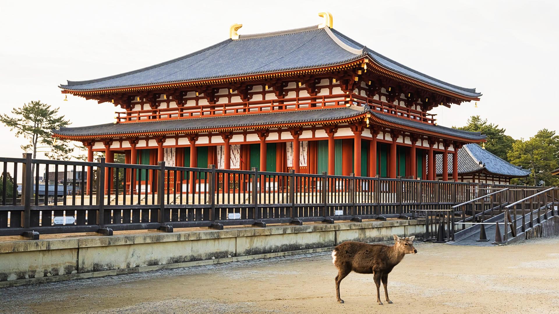 Ciervo sika frente al templo Kōfuku-ji en el Parque de Nara