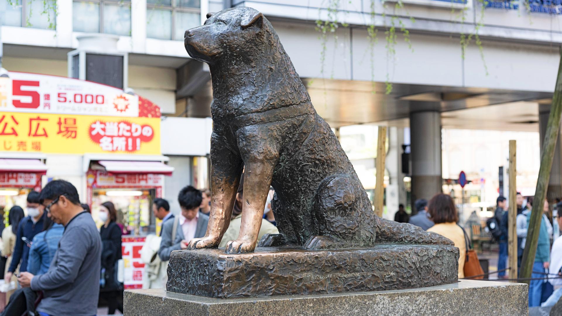 Estatua de Hachiko: el perro más fiel de Japón Estatua de Hachiko: el perro más fiel de Japón