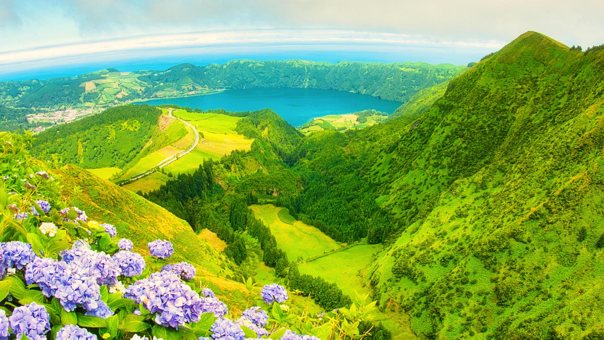 Hortensias en lo alto del macizo volcánico que rodea la Laguna de Siete Ciudades Hortensias en lo alto del macizo volcánico que rodea la Laguna de Siete Ciudades
