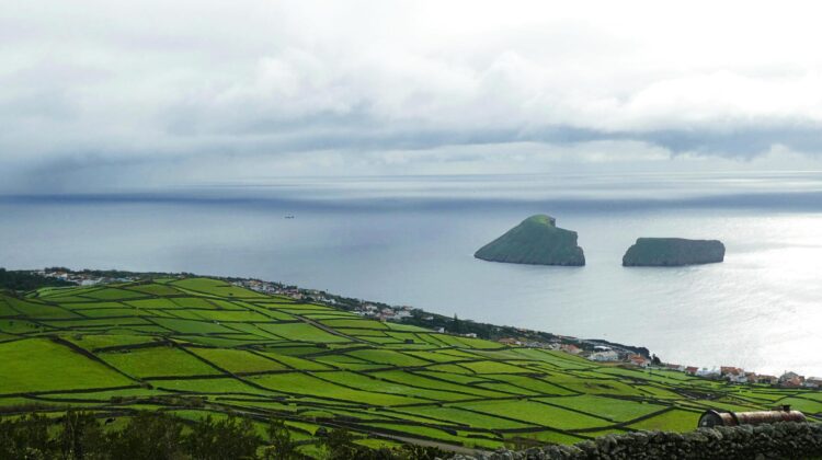 Paisaje de cultivo típico de la isla de Terceira