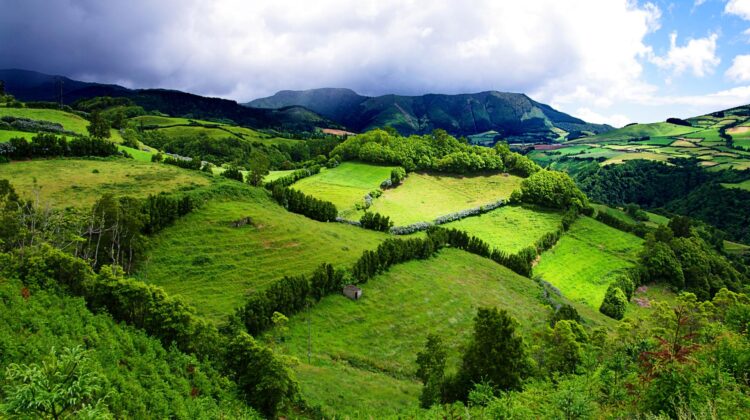 Vistas desde el Mirador de Sierra de Cume