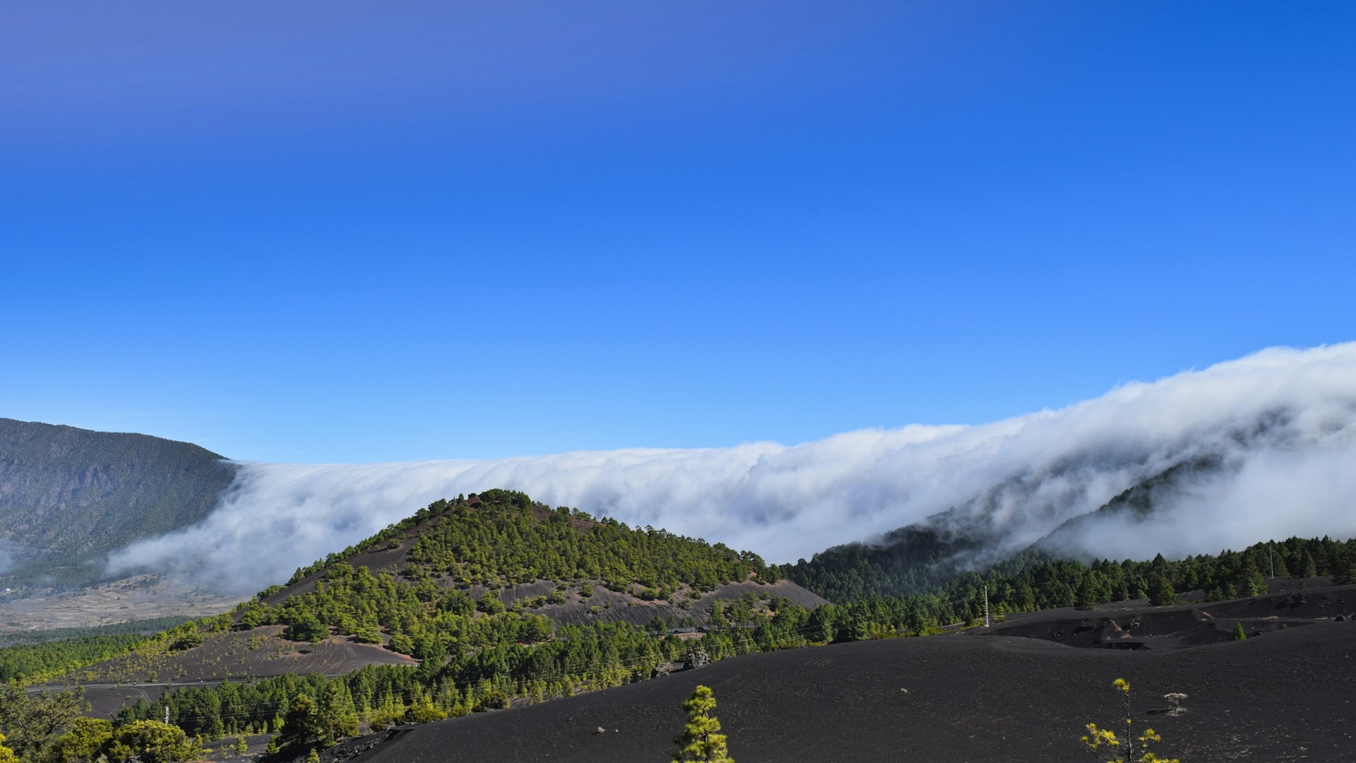 Tierra volcánica de La Palma