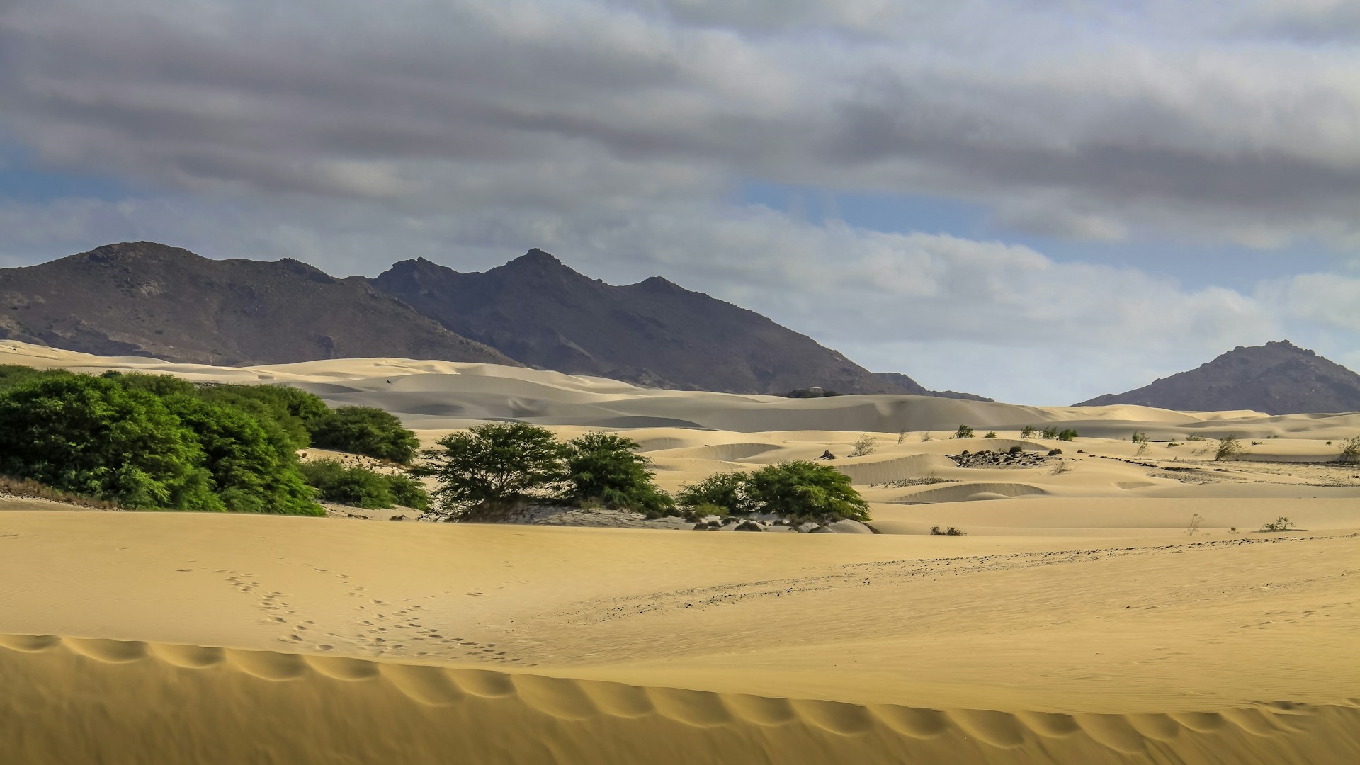 Desierto de Viana