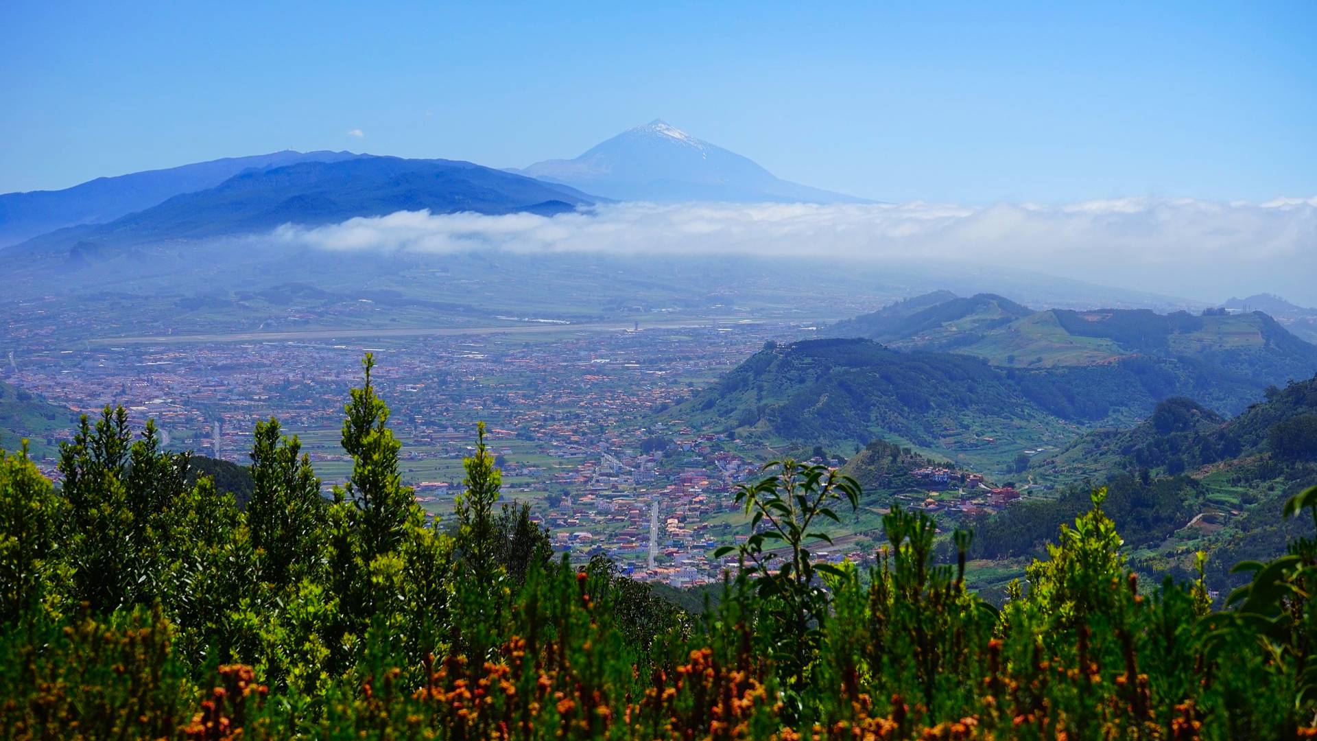 Vistas del Teide desde el Parque Rural de Anaga Vistas del Teide desde el Parque Rural de Anaga