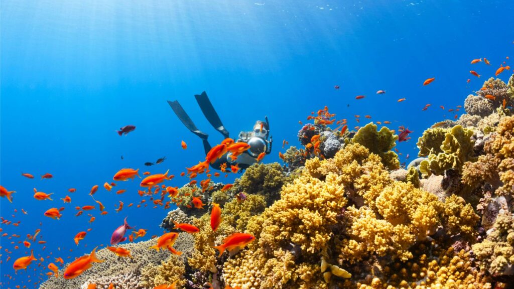 Buceo en Cabo Verde