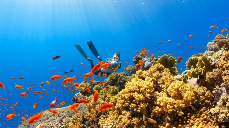 Buceo en Cabo Verde