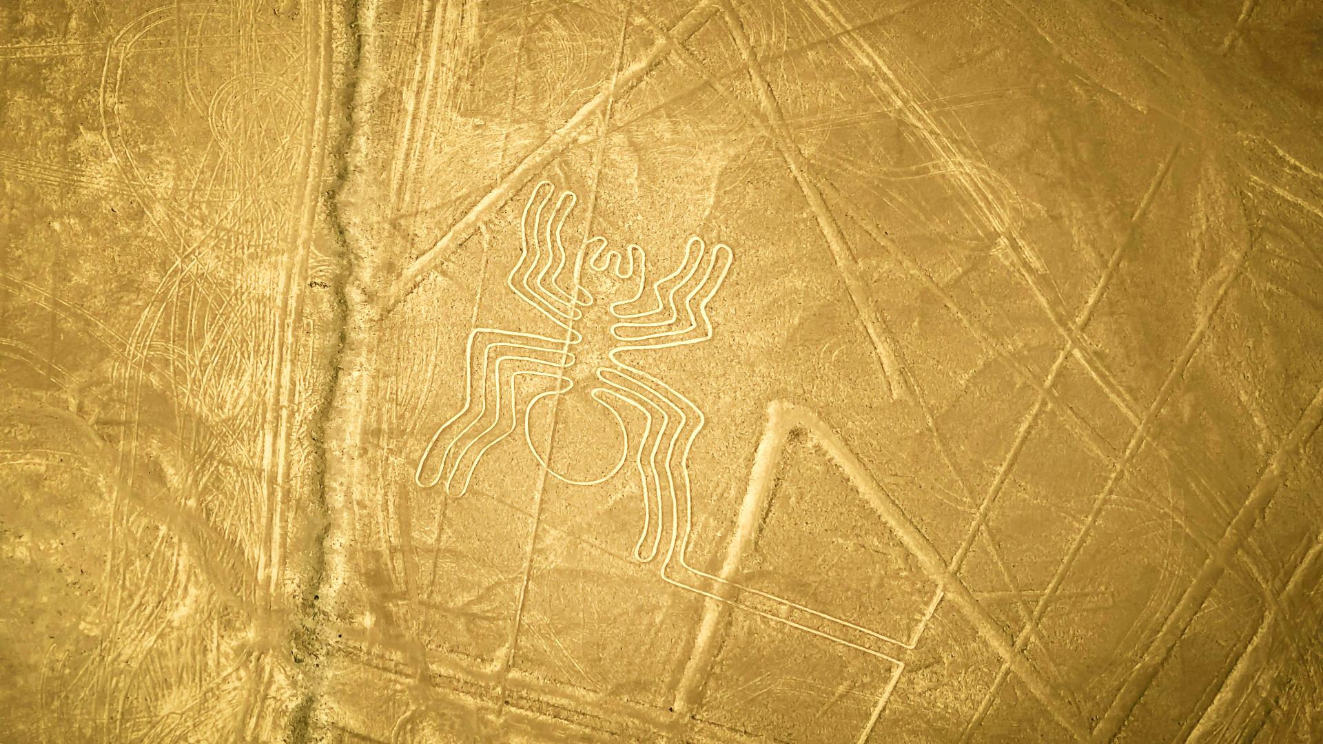 'La araña' de las líneas de Nazca