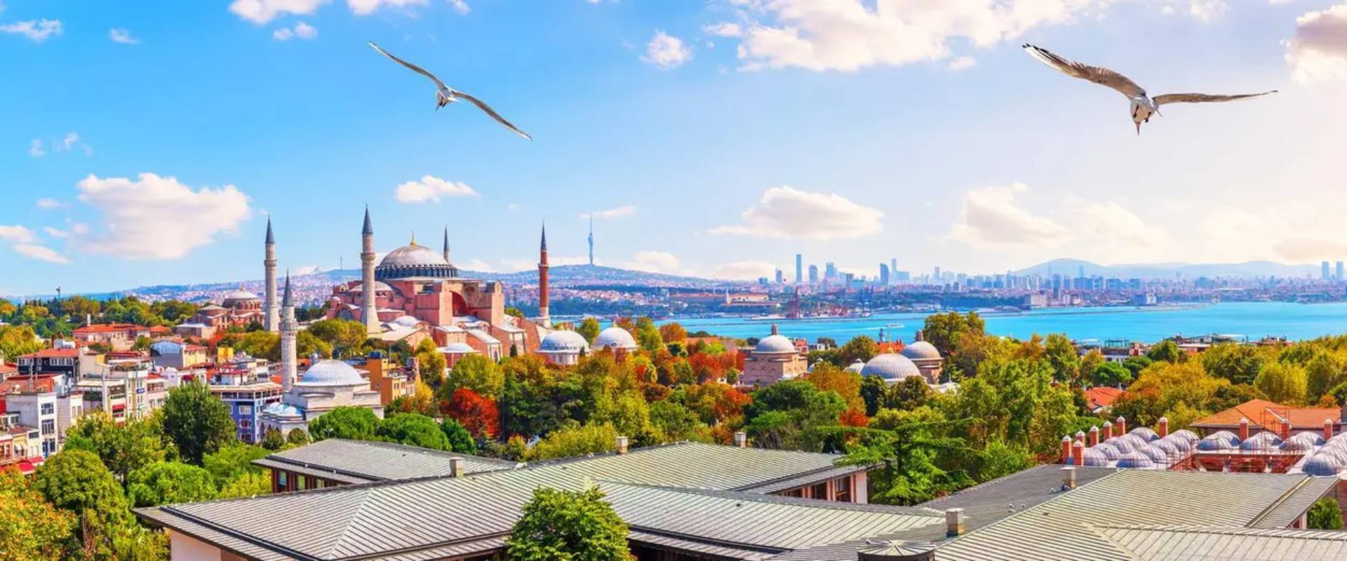 Vista de Estambul con la Basílica de Santa Sofía