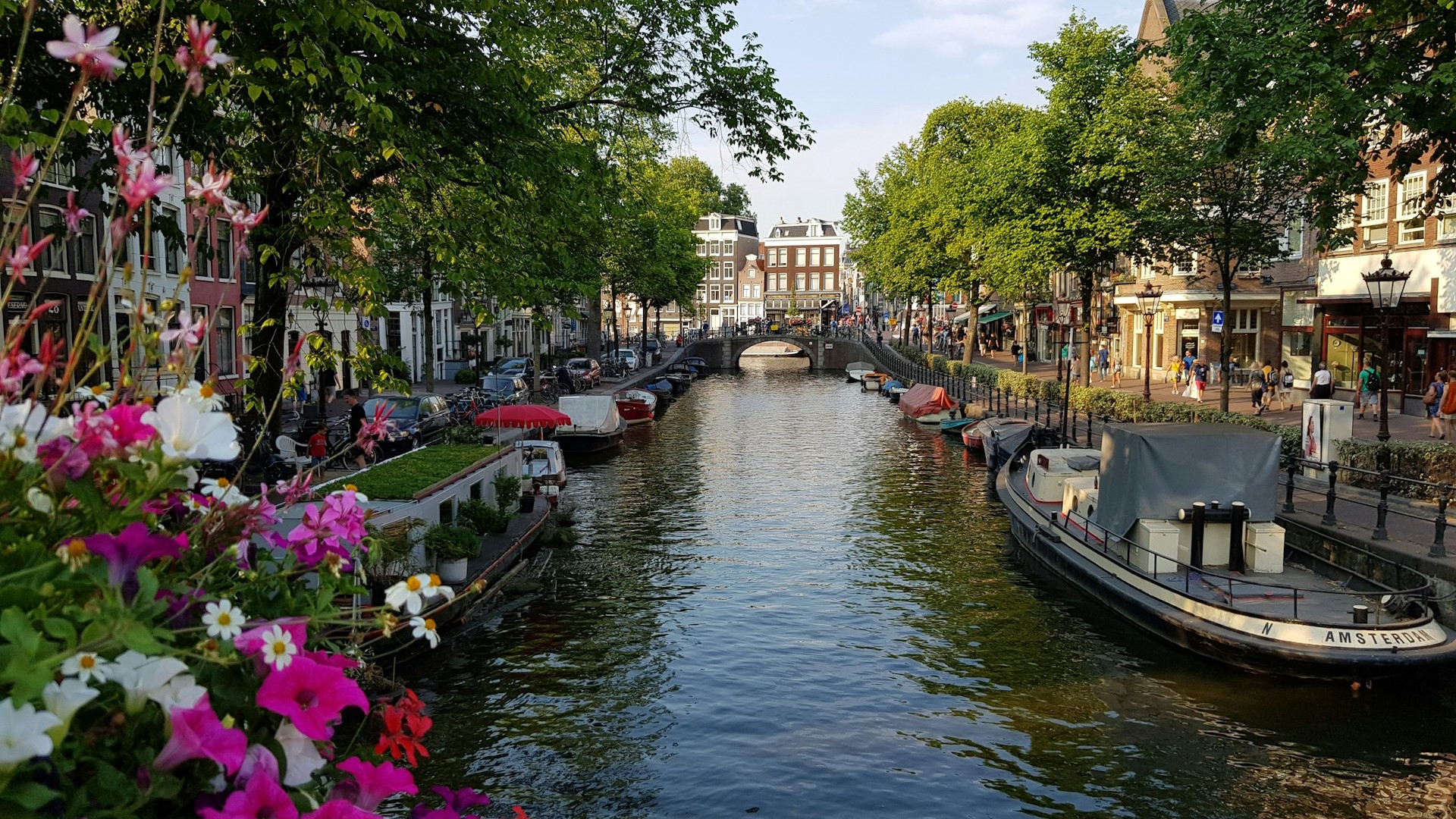 Canales de Ámsterdan con flores