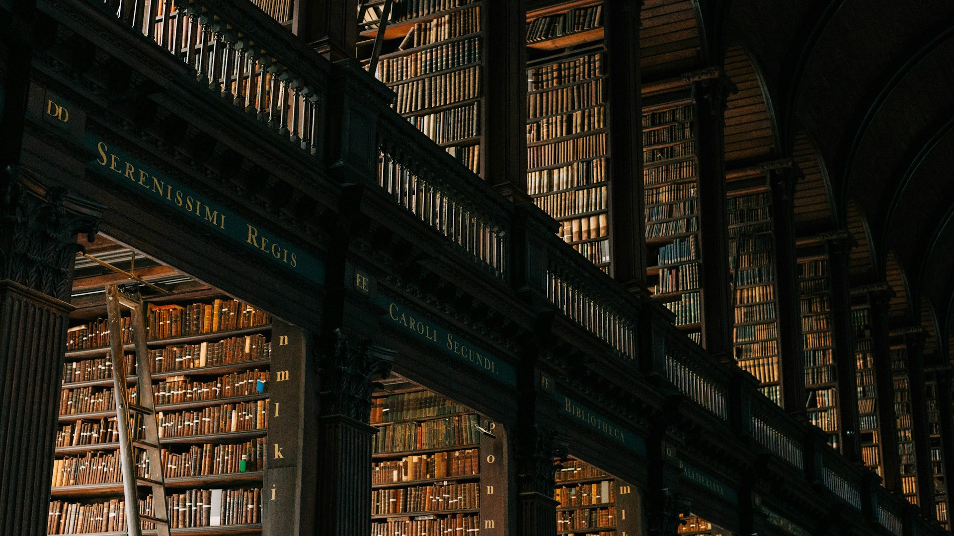 Estantes de madera oscura con libros antiguos