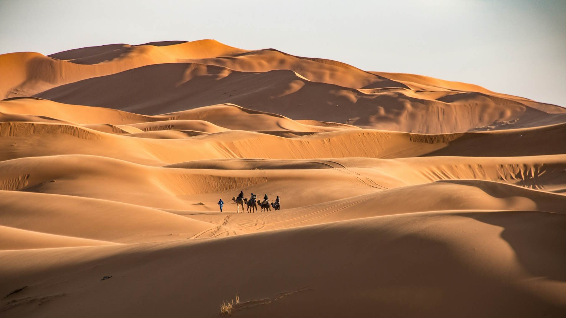 Dunas de Erg Chebbi en el Desierto del Sahara Dunas de Erg Chebbi en el Desierto del Sahara