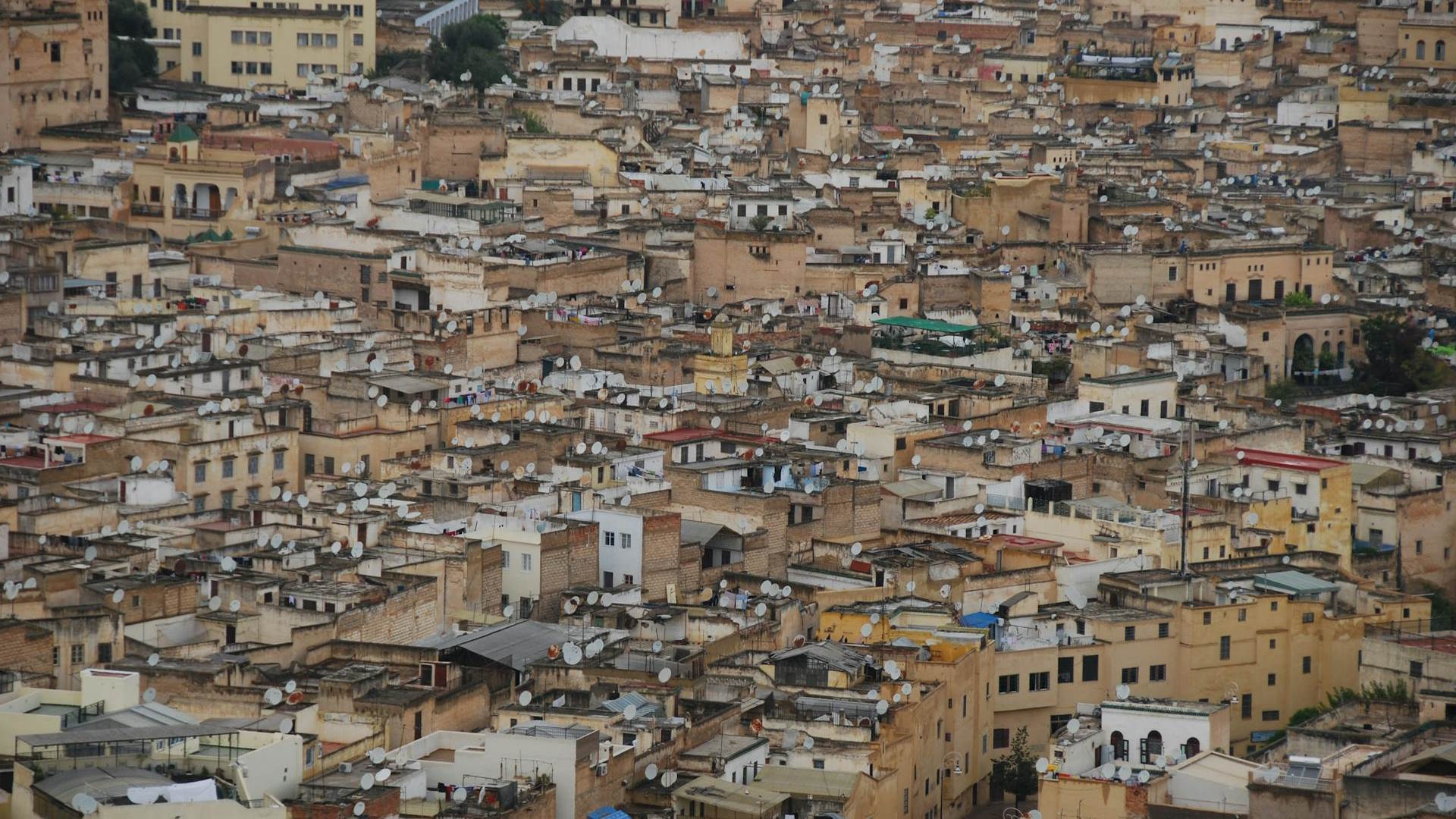 Casas de Fez Casas de Fez
