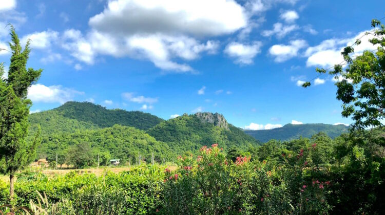 Vista panorámica del Parque Nacional de Khao Yai