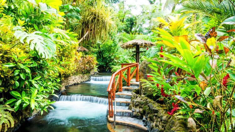 Piscinas y senderos rodeados de naturaleza en el Balneario de Tabacón