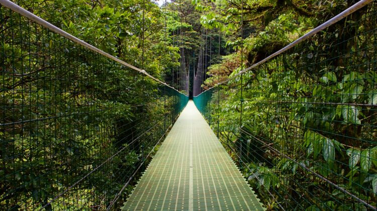 Puente colgante o canopy en Monteverde