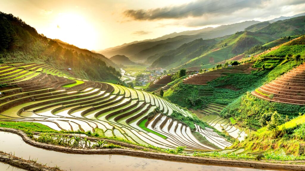 Puesta de sol en los arrozales de Sa Pa