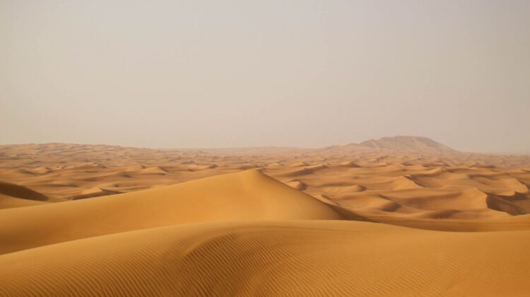 Horizonte del Desierto de Dubái repleto de dunas