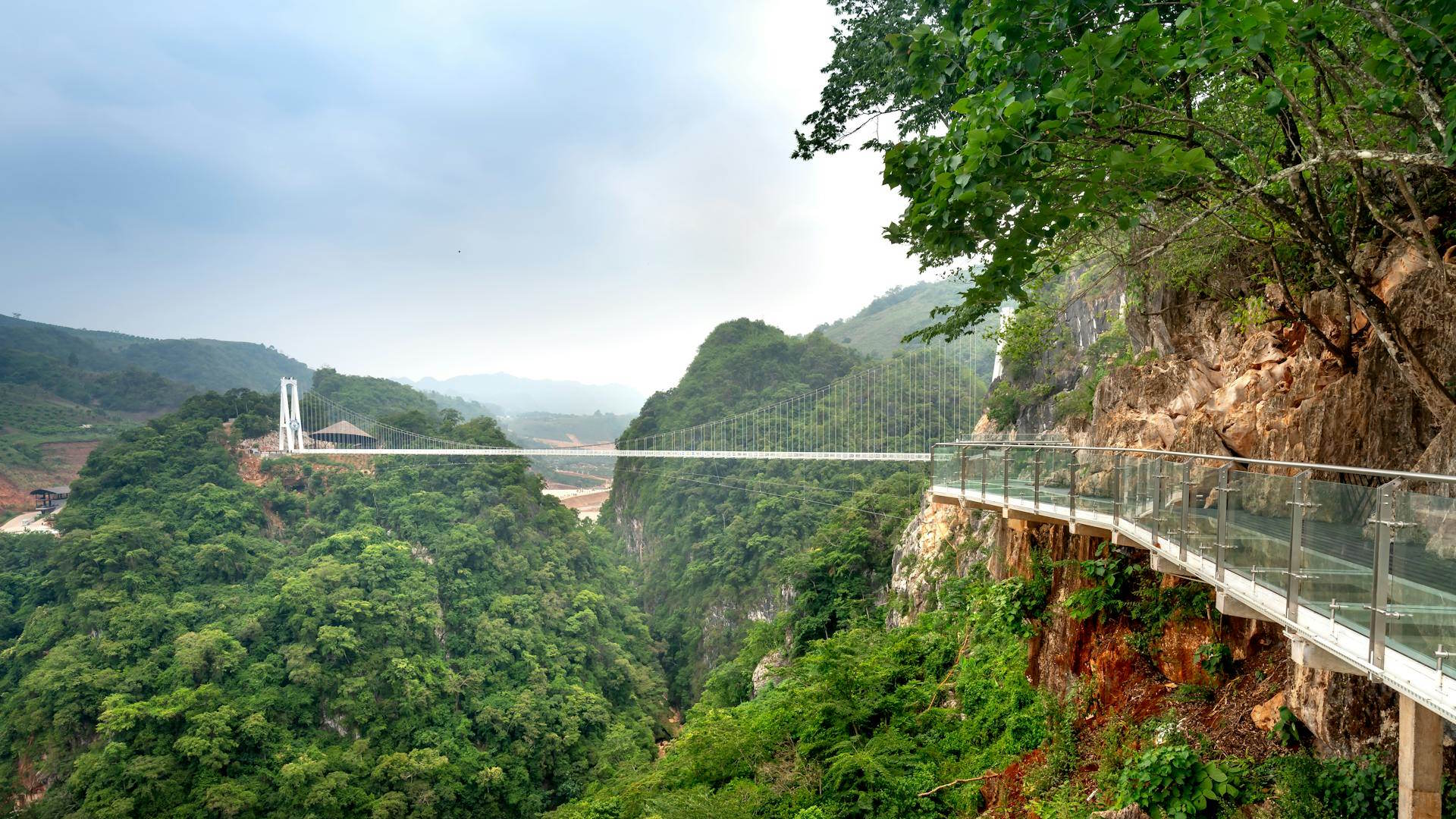 Puente de cristal que cruza en Gran Cañón del Parque Nacional de Zhangjiajie
