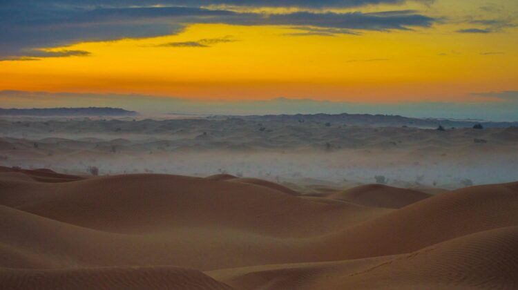 Atardecer en las dunas