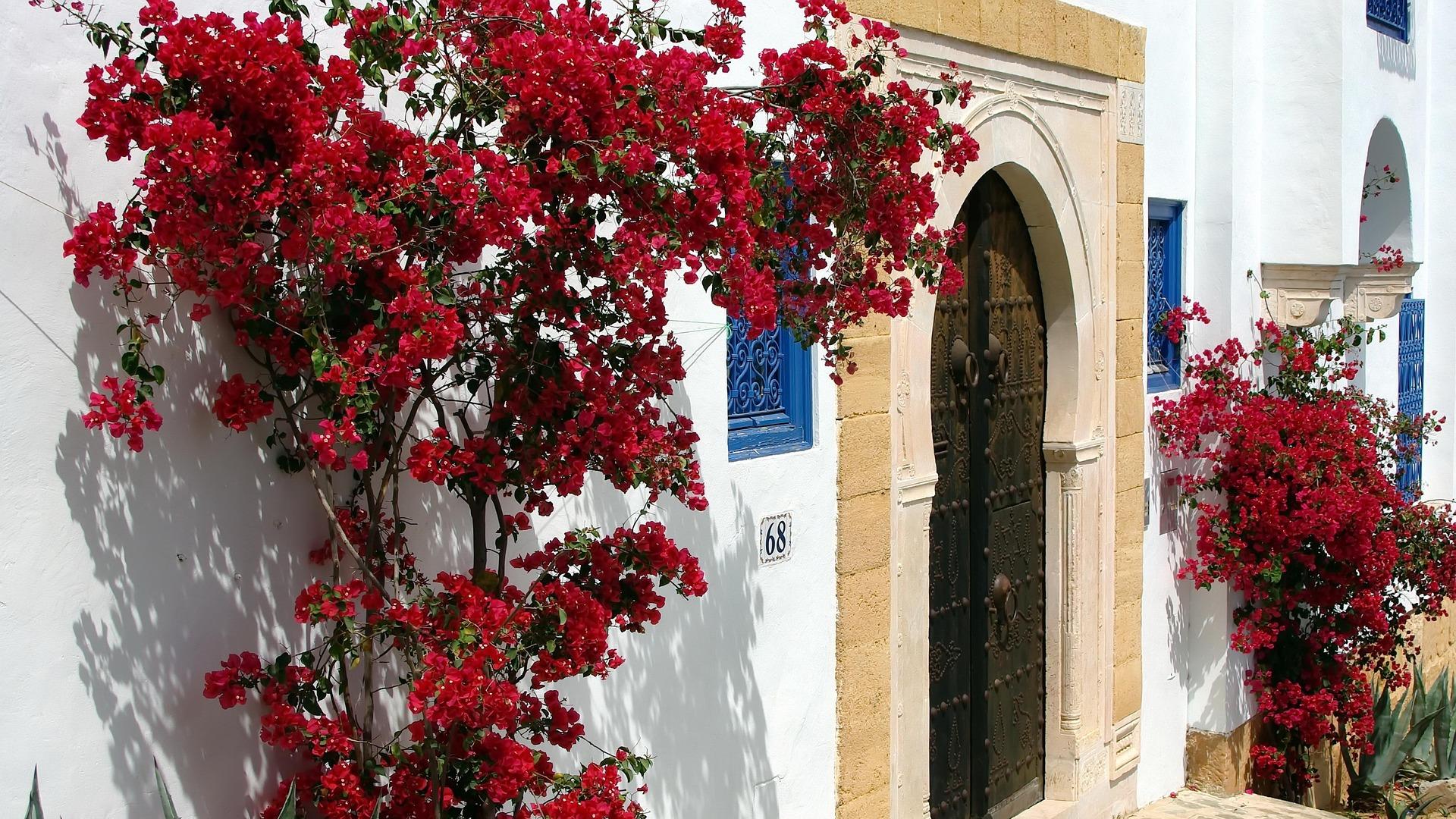 Portal típico de la zona y buganvillas