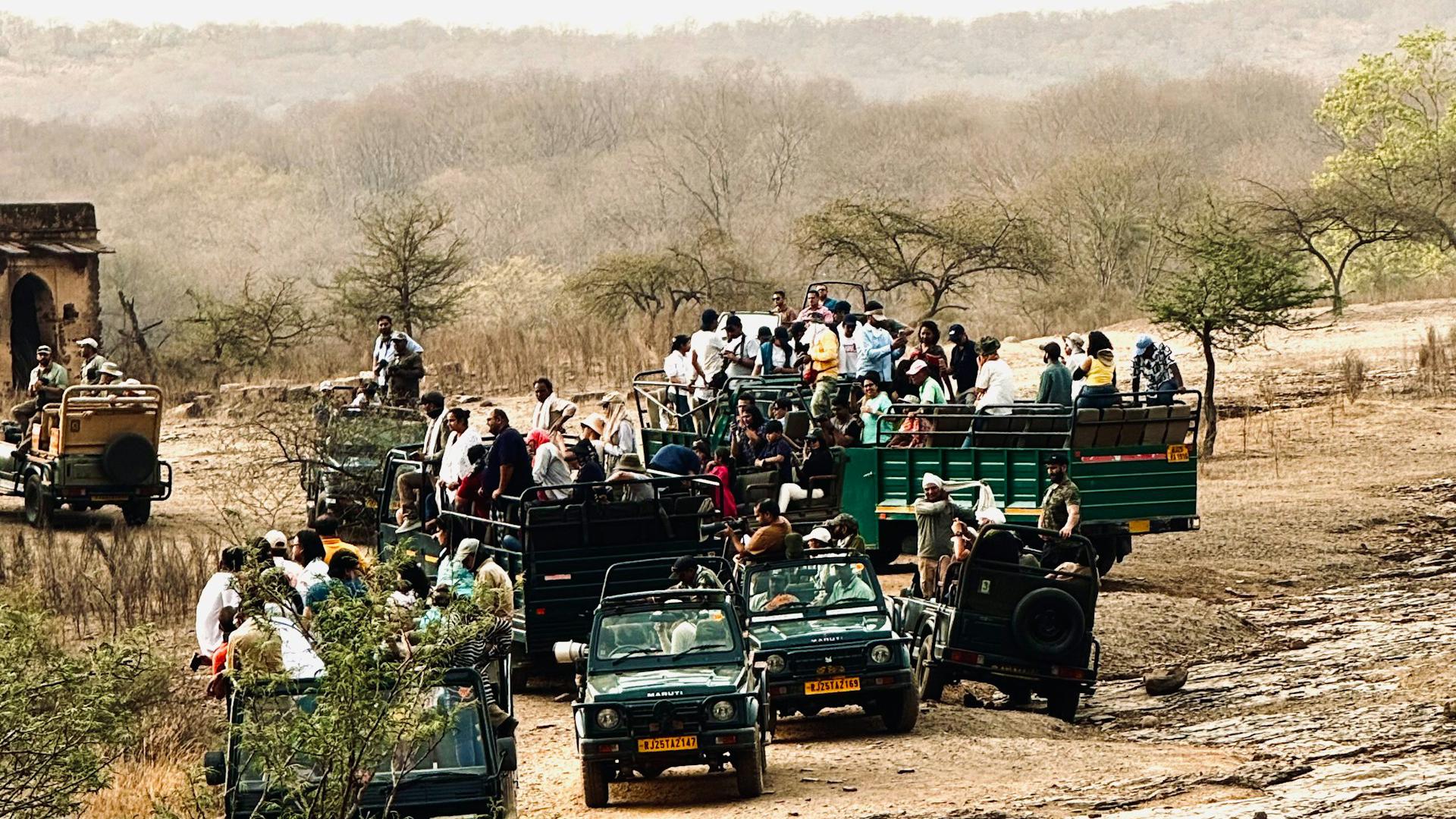 Safari con guías especializados, una de las experiencias más representativas del lugar Safari con guías especializados, una de las experiencias más representativas del lugar