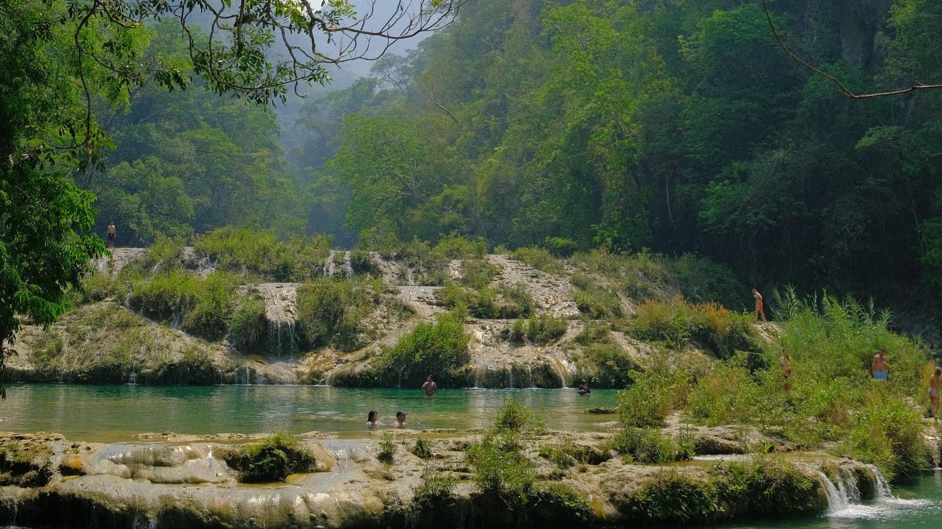 Pozas de agua naturales en Semuc Champey Pozas de agua naturales en Semuc Champey