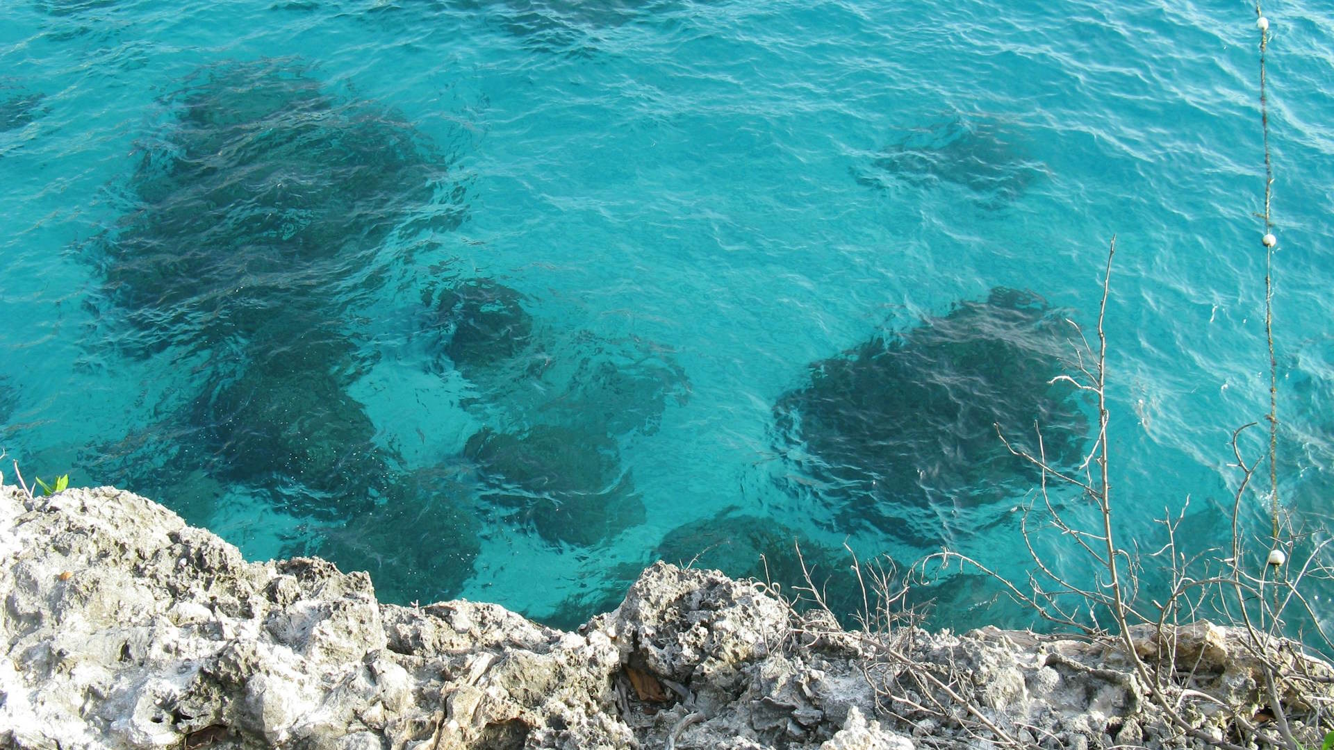 Aguas cristalinas bajo los acantilados de Negril