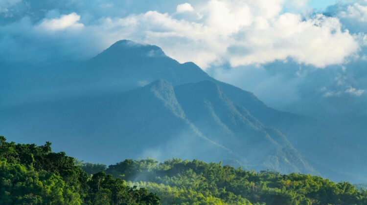 Montañas de la frondosa selva en Port Antonio
