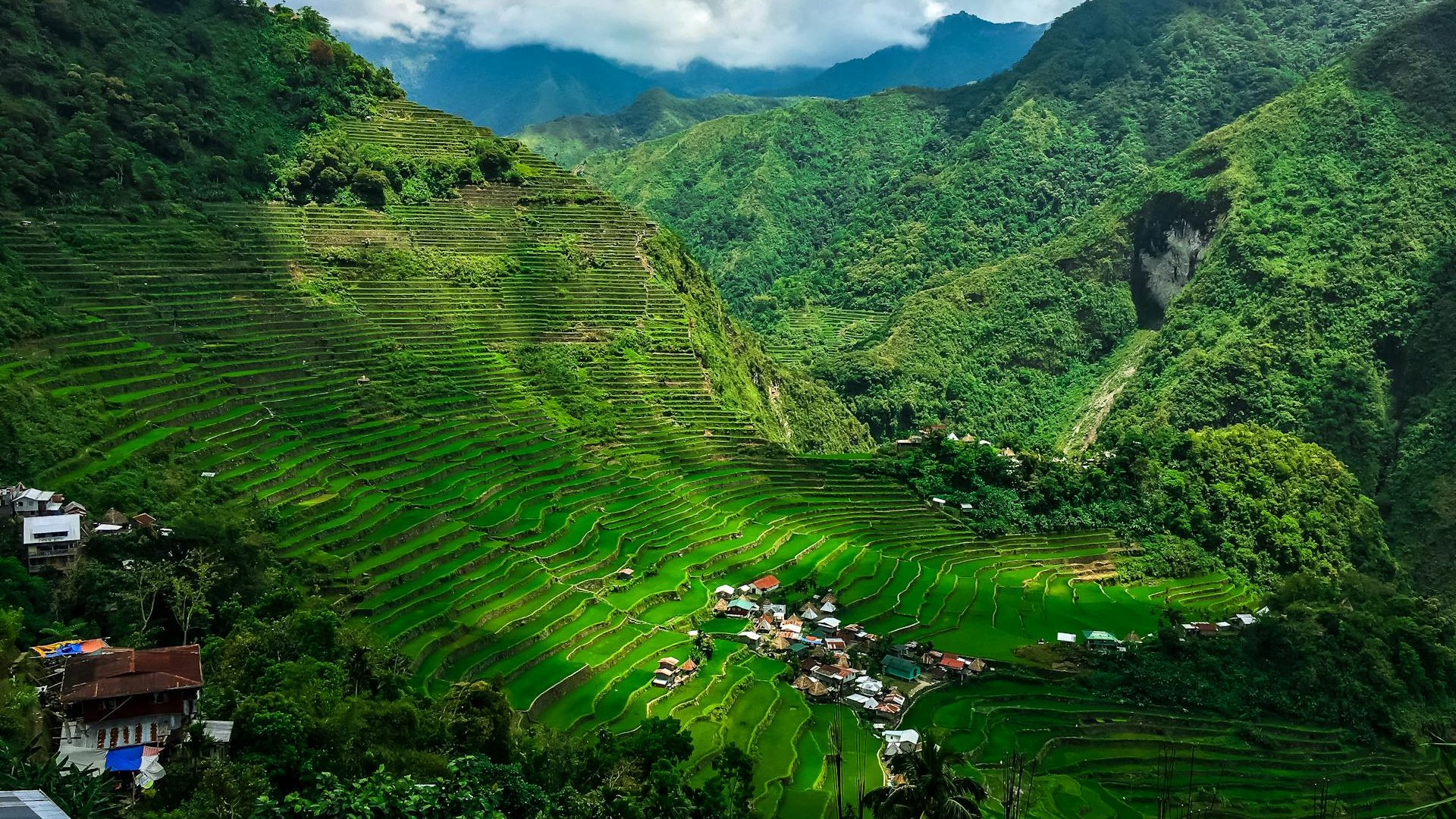 Terrazas de Arroz de Banaue y su característica forma de anfiteatro