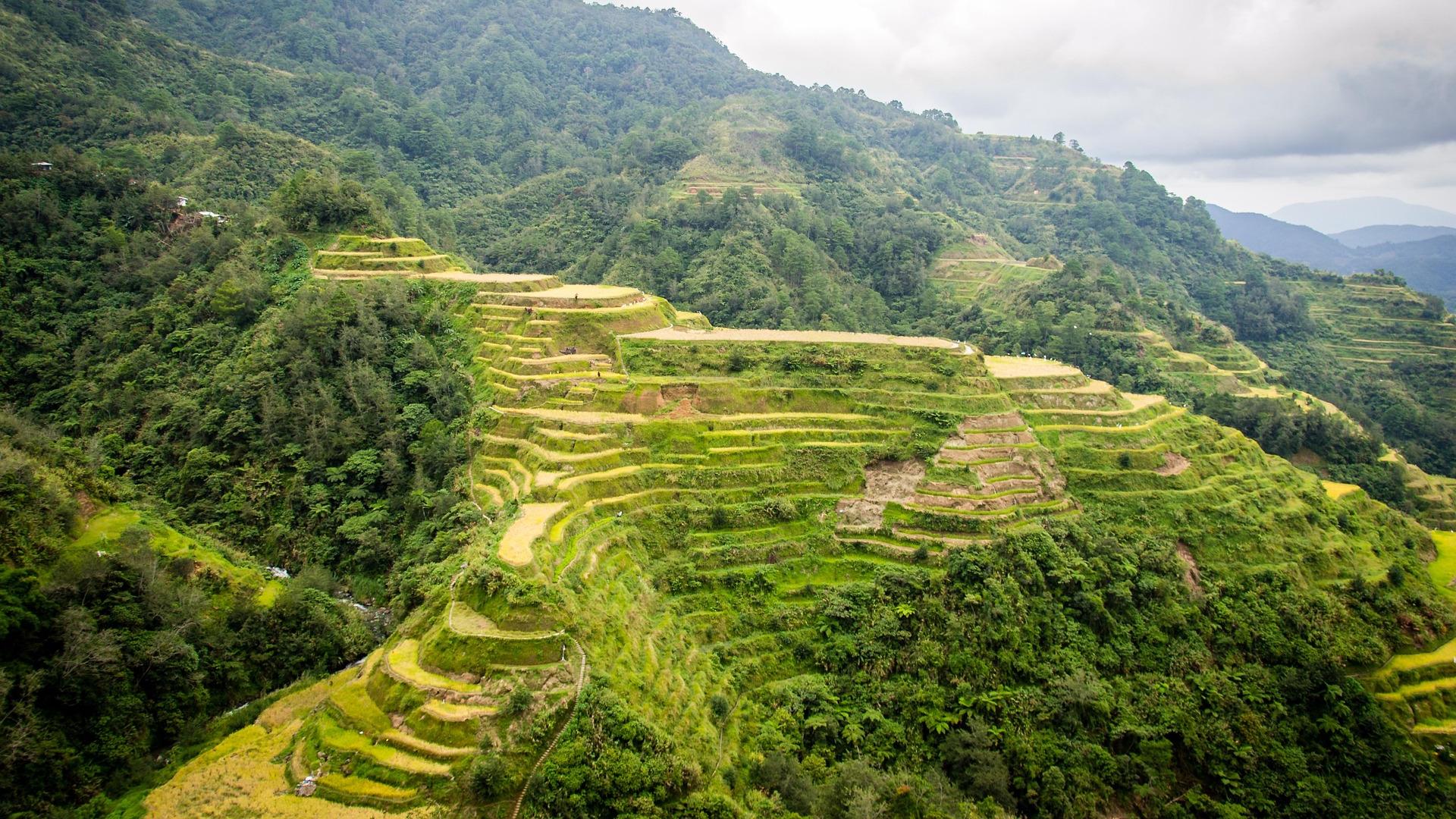 Laderas escalonadas de las terrazas