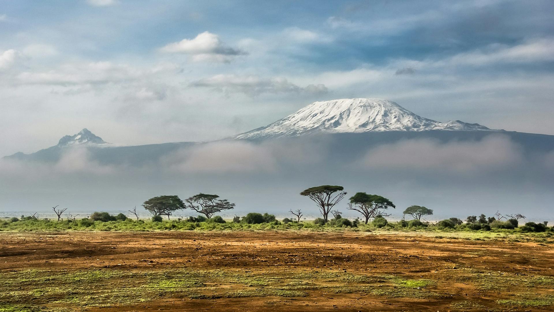 Parque del Kilimanjaro con la cima nevada