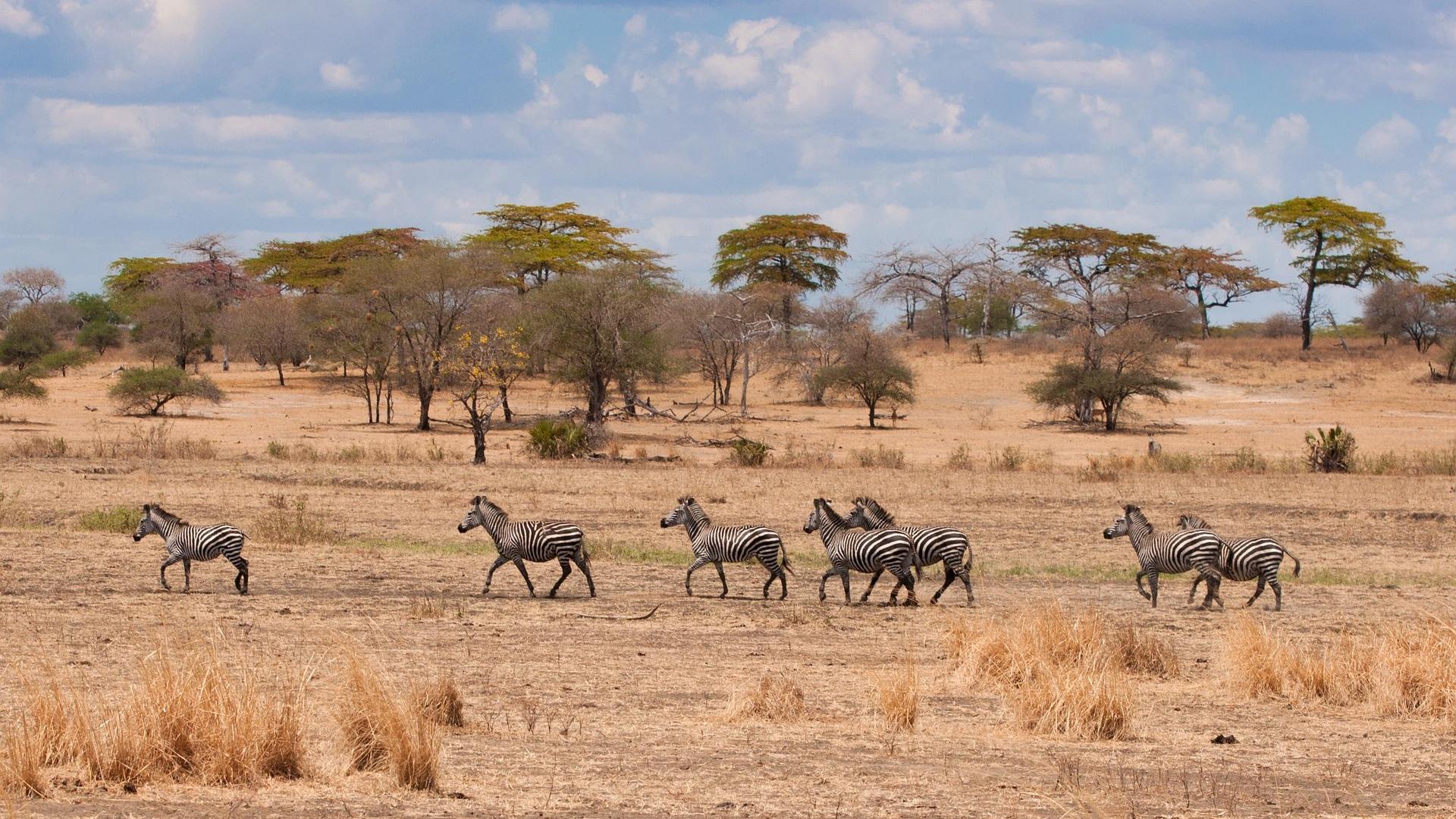 Tanzania