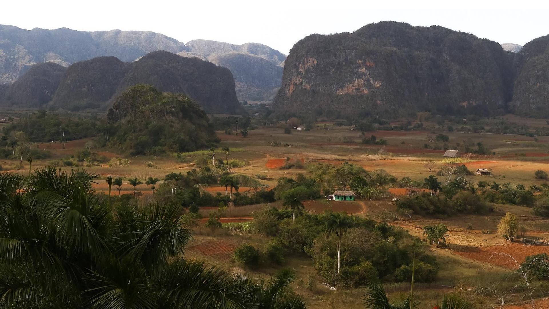 Vegetación del Valle de Viñales Vegetación del Valle de Viñales